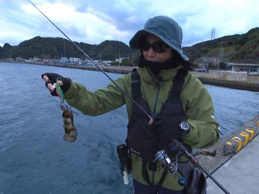 エギングはサイズを選べない。初のヒットは2～3ヶ月前に生まれたであろう小型のアオリイカ。「小型だからといって、いい加減なことをしてたら当たらない。でも丁寧に丁寧にやっても、サイズは触ってくれるイカ次第」。潮の時間と潮位を見極めながら、狙っている所をハズしても、次のチャンスを諦めずに、1投2投と入れていくことが大事。「全ては積み重ね！」。 &copy;釣りビジョン