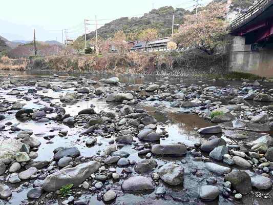 昨年の大爆釣ポイント峰大橋上も今年はかなりの渇水に！ &copy;釣りビジョン