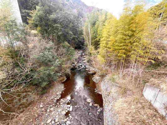 河津川本流合流点から見た大鍋川。木が覆い被さり小さな渓だが雰囲気満点！入渓点は少ないが川の中をかなり上流まで遡行できる。 &copy;釣りビジョン