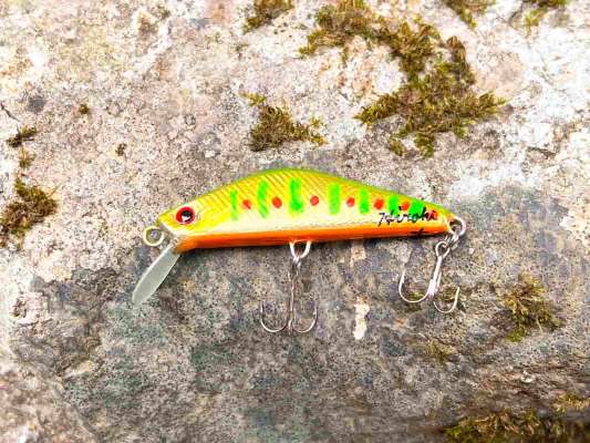 私に春をもたらしてくれたこのミノーは鮎釣り仲間のハンドメイドルアーだった！春をありがと～。 &copy;釣りビジョン