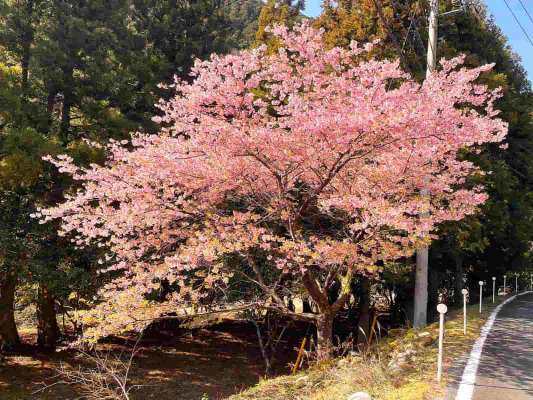 さあ！春を迎えに行こう！ &copy;釣りビジョン