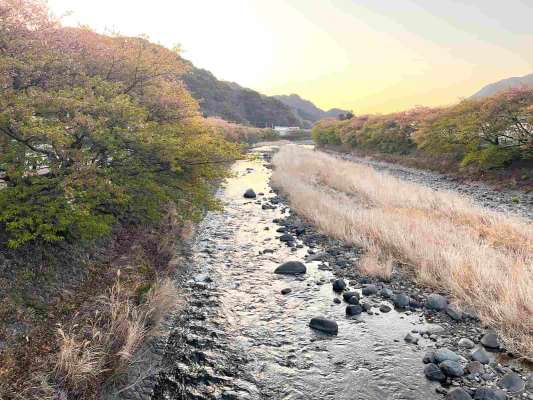 夕方になると峰小橋下流の左岸のこの流れではチェイス頻発！ &copy;釣りビジョン