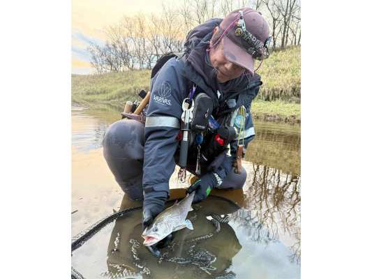 開始早々キャッチした48cmのイトウ。このクラスが釣れることは川が健全である証拠。メータークラスが釣れるのと同じくらい嬉しいらしい。 &copy;釣りビジョン