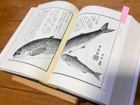イトウに関する貴重な文献を見せてもらうため、本波の釣り部屋を訪れた。幕末から明治にかけて活躍した探検家・松浦武四郎の日誌には、「アイヌ民族の夕食に招かれ、8尺～9尺（2.4m～2.7m）のイトウが出てきた。」など驚きの記述があった。次は『オタクのタックルボックス』で本波の部屋を訪れたい。 &copy;釣りビジョン