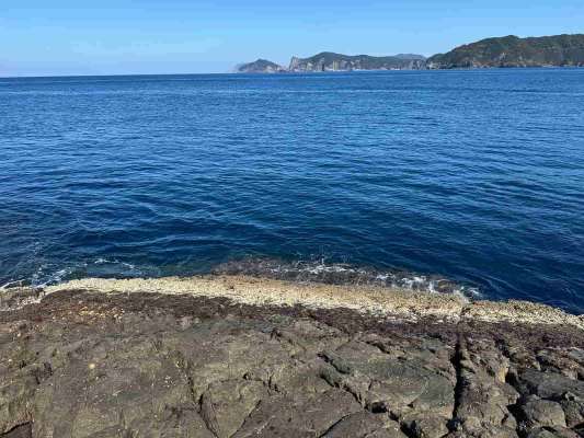 足場はかなりの傾斜になっている上に海苔がびっしりと生えていて注意が必要だ。 &copy;釣りビジョン