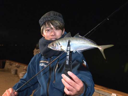 “あわかん”裏にあるプライベート釣り場。ジグ単2gを着底させ、ボトムを離さず一瞬のテンションフォールが効く。丁寧にすると喰いが良い。釣れたのは今日イチ文句なしの良型アジ。ボトム付近では良型のメバルも。アベレージが、アジ26cm、メバル20cmと驚きの結果に！&copy;釣りビジョン