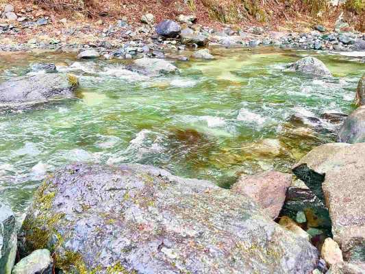 水は少ないが他河川に比べれば水量十分！相変わらずの透明度の高い道志川。 &copy;釣りビジョン
