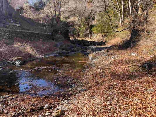 支流の水量はルアー不可！キャストするとすぐに落ち葉を拾ってしまう。 &copy;釣りビジョン