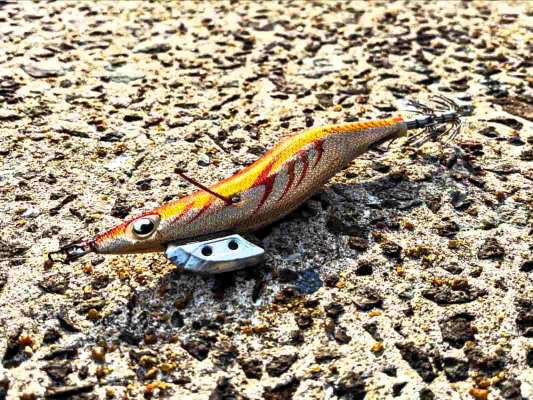 HITルアーの「エギ王K」。SIZE：4号、WEIGHT：26g、沈下スピード：約3秒/m。 カラーはキャロットゴールド。&copy;釣りビジョン