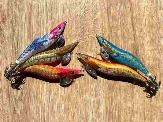 用意した「エギ王」シリーズ。3.5号から4号まで。 &copy;釣りビジョン