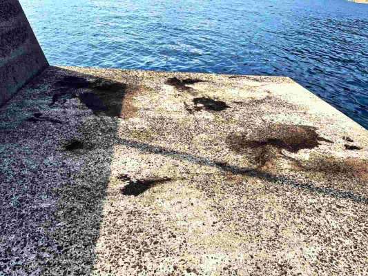 島内の漁港を訪れると、たくさんの墨跡が。これは期待できそう。 &copy;釣りビジョン