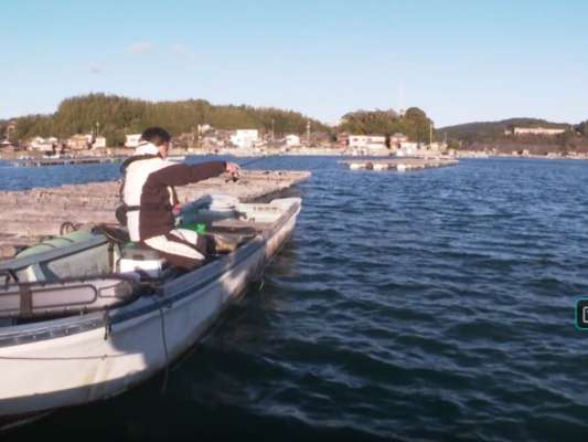 かかり釣り（カセ釣り）とは、筏（いかだ）やボートに乗って行うチヌ釣りの釣法。