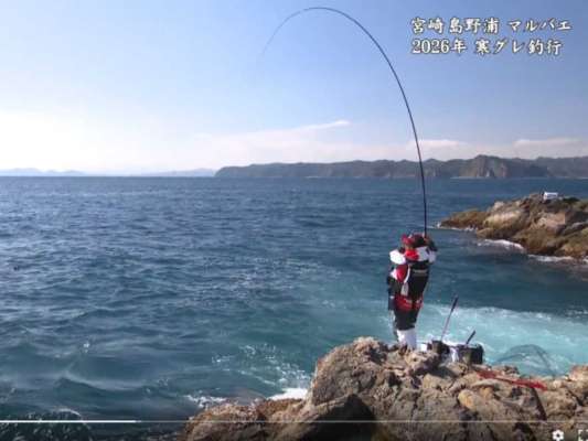 狙い通りのタナでグレをヒット！