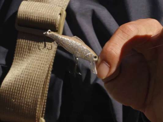 齋藤に待望のヤマメを連れてきたのはヴァルケインのエリアルアー「ラグマ」。あまりアクションを入れると激しく動きすぎてしまうのでソフトに誘う。スプーンでもミノーでもエリアフィッシングのルアーは元を正せばネイティブアイテムがベースとなっており、エリア独自のクランクやボトム系など、進化はしているがアクションのさせ方などはネイティブと大筋は変わらないそうだ。 &copy;釣りビジョン