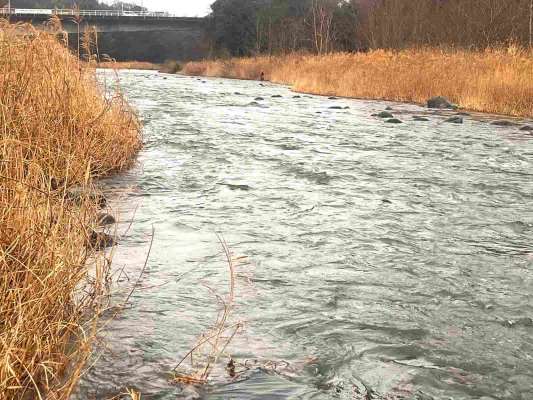 角田大橋上流ポイント！工事により上流側の木々は無くなり土の大きな河原となっていた。 &copy;釣りビジョン