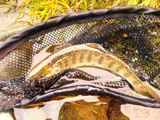 段々と擦れてきた魚はそう簡単にはヒットしなくなった。 &copy;釣りビジョン