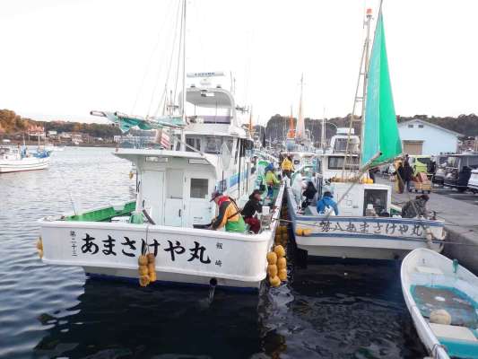 広々した大型船『第二十三あまさけや丸』（写真左）に乗り込んだ。 &copy;釣りビジョン