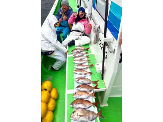 婚姻色が鮮やかなマダイがこんなに（3/26）！ &copy;釣りビジョン