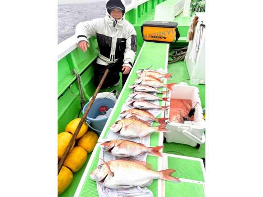 こちらも3/26の釣果、マダイ9匹など！今日もこの調子で！ &copy;釣りビジョン