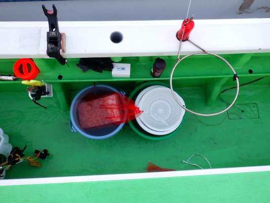 注文したオキアミが届いたら海水桶で溶かす。 &copy;釣りビジョン