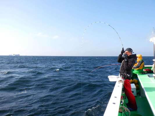 ビシを指示ダナの5m程下まで下ろし、コマセを撒きながら指示ダナまで巻き上げる。 &copy;釣りビジョン