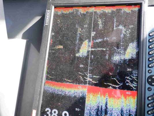 魚探の画面、水深30m以深はマダイの良い反応がてんこ盛り！ &copy;釣りビジョン