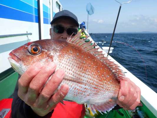 右舷トモ2番の釣り人好調！3匹目のマダイをゲット！  &copy;釣りビジョン