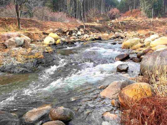 細尾橋下流水深のあるこんな流れから。 &copy;釣りビジョン