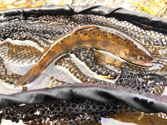 パターンを掴めば連チャンも！ &copy;釣りビジョン