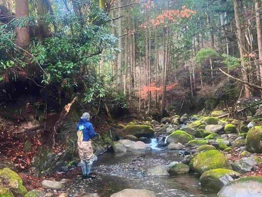 粕尾の系にはまだまだ未知なる魚達が潜んでいる！続々と解禁を迎えた渓流釣りの聖地、栃木の河川から目が離せない！ &copy;釣りビジョン
