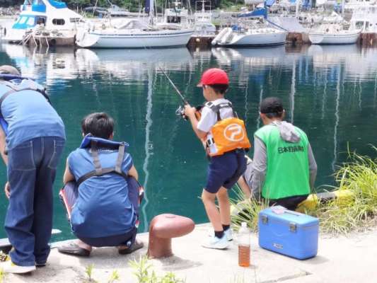 西伊豆町立賀茂小学校3年は安良里漁港で実施。