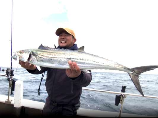 舞鶴湾の漁礁エリアでサワラを狙う。ジグは「ブレードショーテル」のフルパープルグロー80g。オキアミに付く本命を意識し、「同じレンジをできるだけ早く引いてくる」という作戦が的中しヒットへと持ち込んだ。この釣りの大事なポイントは、「フッキングしないで巻き合わせをすること。フッキングする速度よりもサワラの泳ぐ速度が速いからテンションが掛かり切らない」と向林。 &copy;釣りビジョン