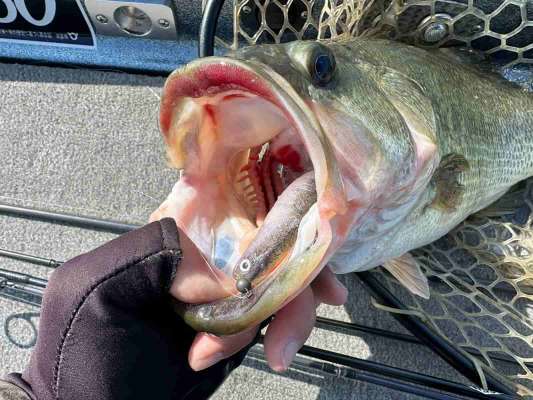 2月中旬にヴァラップミノーのジグヘッドリグでキャッチした初バス。大会とはあまり関係がなかった。 &copy;望月俊典