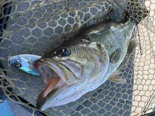 大会の10日前はクラッシュ9でも釣れていた。 &copy;望月俊典