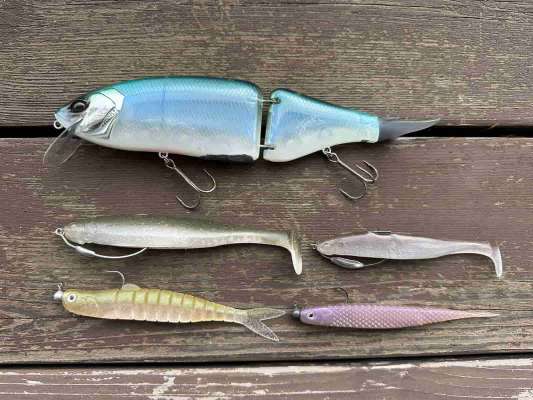 プラで使用したルアー。クラッシュ9（DRT）、ヴァラップスイマー5.5インチ（ボトムアップ）ウェイテッドリグ、ヴァラップスイマー4.3インチ・ウェイテッドリグ、ヴァラップミノー5インチ・ジグヘッドリグ、スーパーフィッシュローラー5インチ・ジグヘッドリグ（レイドジャパン） &copy;望月俊典