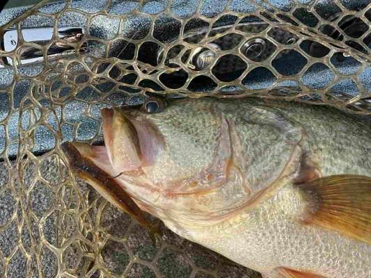 釣り開始から10分ほどで釣れた1本目。サイズはほどほどだが、意味は大きい。 &copy;望月俊典