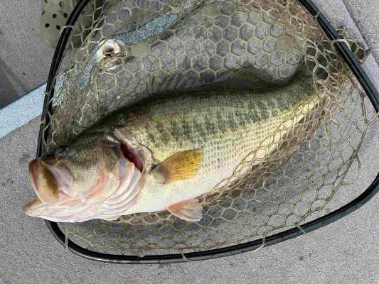 そしてついに3本目、これでリミット達成！ 3,500gほどあった。 &copy;望月俊典