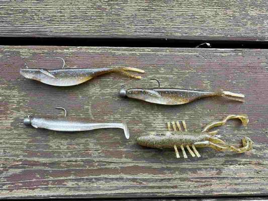 アタリのあったルアー。サカマタシャッド4.5インチ（デプス）のネイルリグ、サカマタシャッド4.5インチの3.5gジグヘッドリグ、ヴァラップスイマー3.3インチ（ボトムアップ）の3.5gジグヘッドリグ、DCシュリンプ（DRT）のノーシンカーリグ。プラとの傾向の違いがお分かりいただけるだろうか？ &copy;望月俊典