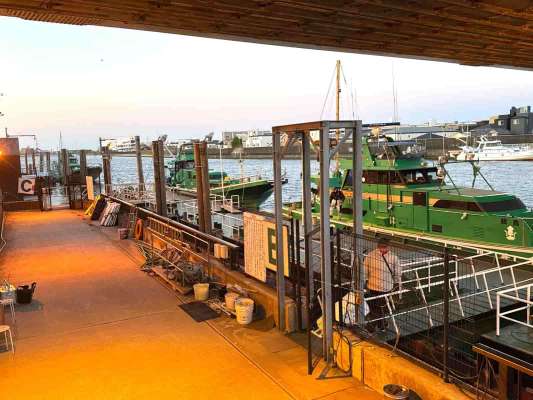 乗り降りのし易い浮桟橋の船着場。 &copy;釣りビジョン