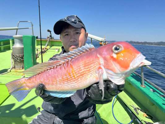 良型のアマダイも交じった。 &copy;釣りビジョン