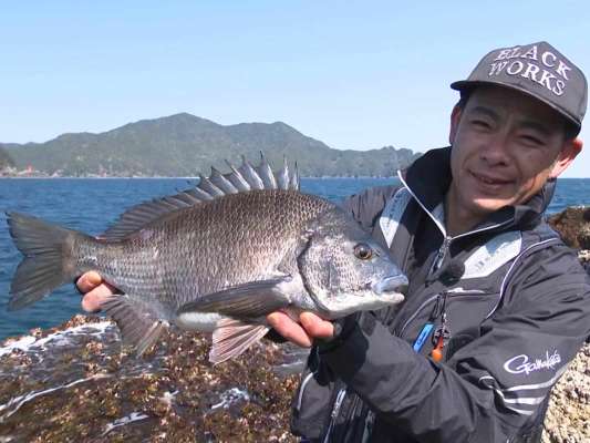 こちらもノッコミ真っ最中のコンディション抜群のチヌ！