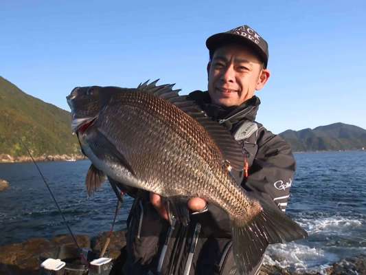 まさにノッコミ期らしい良型のチヌ！ 