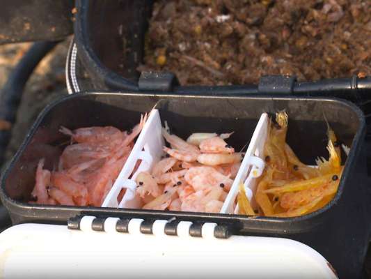 その日の当たりエサは分からないため、付け餌は複数種類用意する。 