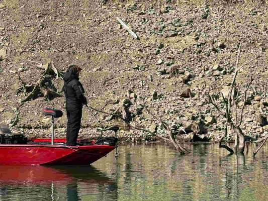 点在する立ち木にハイフロートのビッグベイトを通していく平岩孝典。間近で見たバイトシーンは圧巻。&copy;釣りビジョン