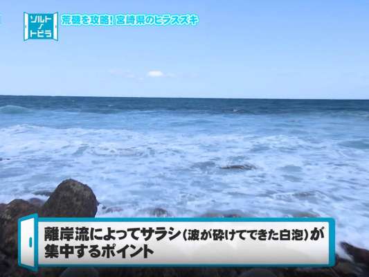 単純にサラシがあるだけでなく〝サラシが集中する場所〟を見つけ出すのも重要とのことだ。