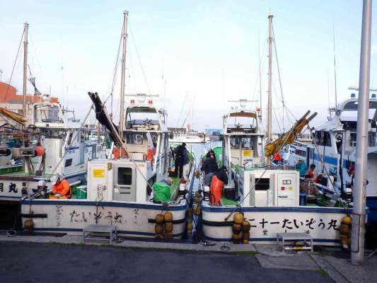 葉山あぶずり港『たいぞう丸』、向かって左の二十三号船に乗り込んだ。 &copy;釣りビジョン