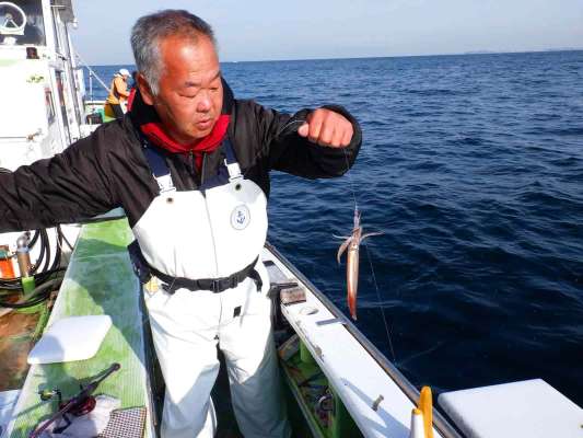 胴長16～17cmのムギイカだった。 &copy;釣りビジョン