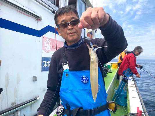 マルイカ、胴長20cm超。時合いになるとサイズもアップ。 &copy;釣りビジョン