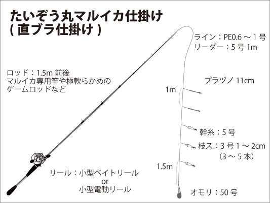 『たいぞう丸』マルイカ仕掛け図（直ブラ仕掛け）。 &copy;釣りビジョン