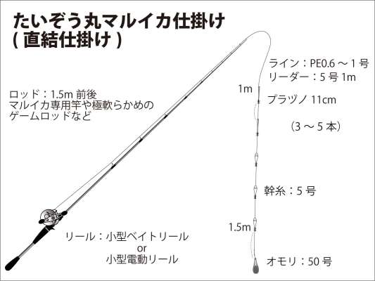 『たいぞう丸』マルイカ仕掛け図（直結仕掛け）。 &copy;釣りビジョン